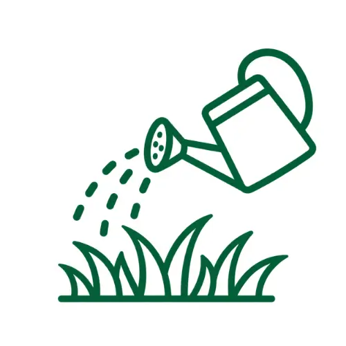 6. Initial Watering