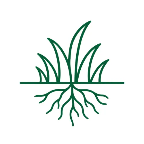 7. Early Establishment