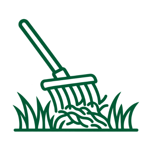 Dethatching