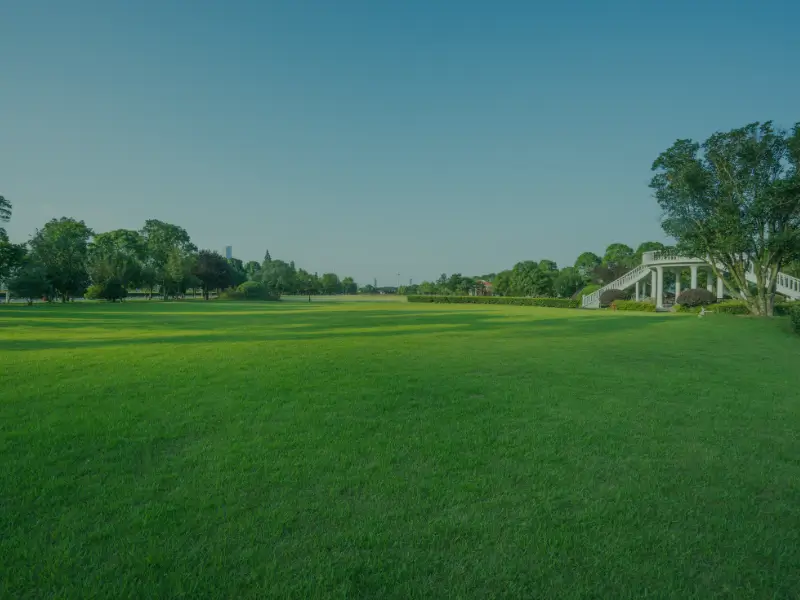 Lawn Care Commercial