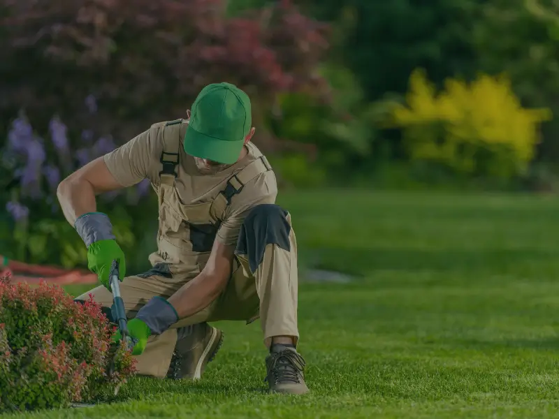 Lawn Care Residential