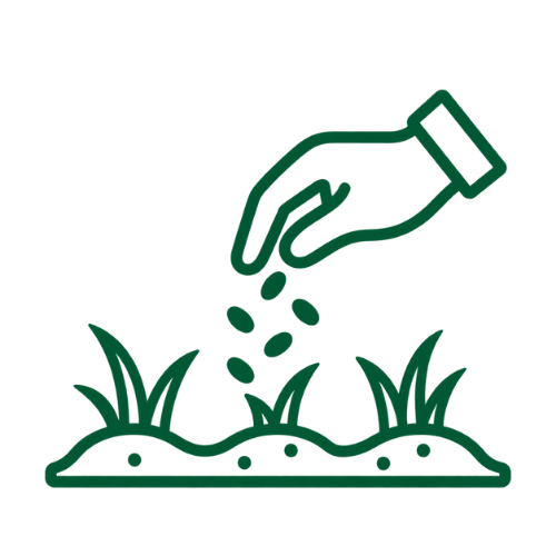 Lawn Planting