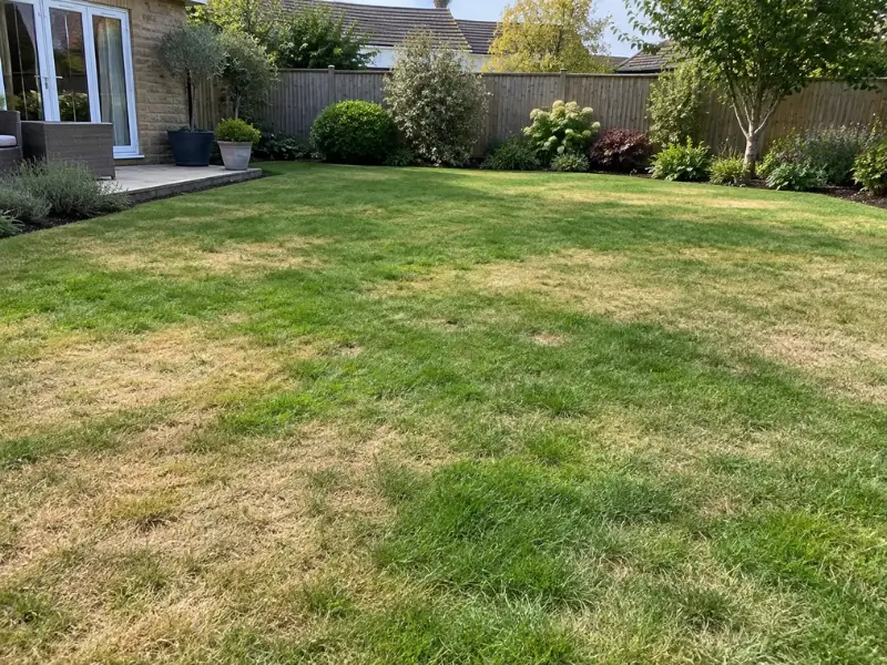 Slow or Uneven Recovery